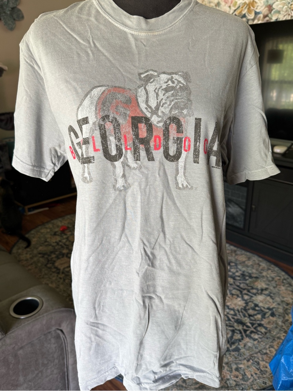 Comfort Colors Gray Georgia Bulldog Graphic Tee with Red Accents